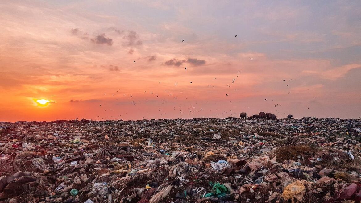 Polusi Tanah: Penyebab, Dampak Serius terhadap Kesehatan, Lingkungan