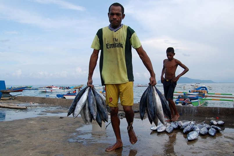 Potensi Ekonomi Pesisir: Pemanfaatan Sumber Daya Laut, Strategi Pengembangan Berkelanjutan, dan Peluang Meningkatkan Kesejahteraan Masyarakat Pesisir Indonesia
